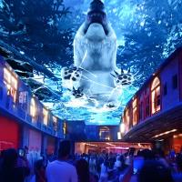 Luzes do Norte Projeção Holográfica Sky Screen Imersivo Projector Para Museu