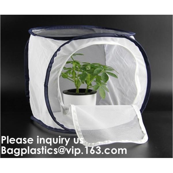 Agricultural Greenhouses for Tomato Planting,Pop-Up Tomato Plant Protector Serves as a Mini Greenhouse to Accelerate Gro