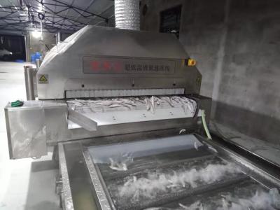 OEM da máquina de congelação rápida de Mesh Belt Tunnel Freezer 2200kg/H 2800kg/H LN2