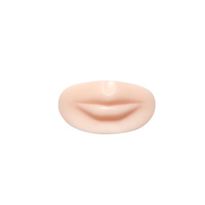 Pele permanente durável da prática da composição do silicone para os bordos que treinam o módulo 4D