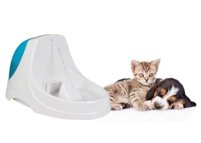 Large Capacity 3.6 Liters Automatic Pet Water Fountain With LED Light At Night