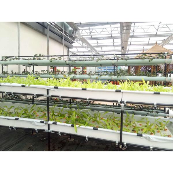 The Best Garden Vertical Hydroponics System NFT for Vegetable & Flower Growing