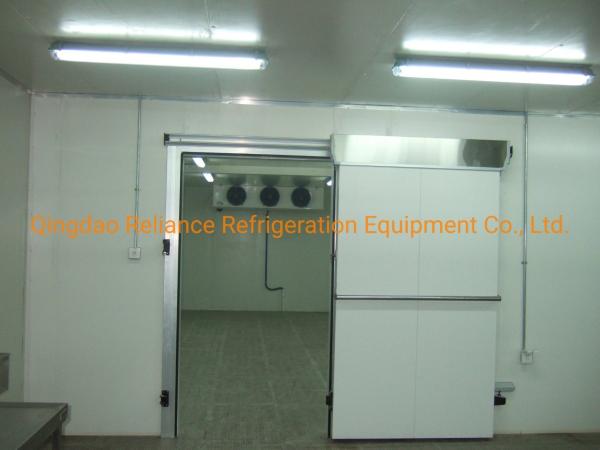 Freon Refrigerant Cold Storage Room for Pork Chicken Fish Production