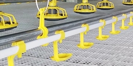 Closed House Chicken 20T Poultry Farm Equipment