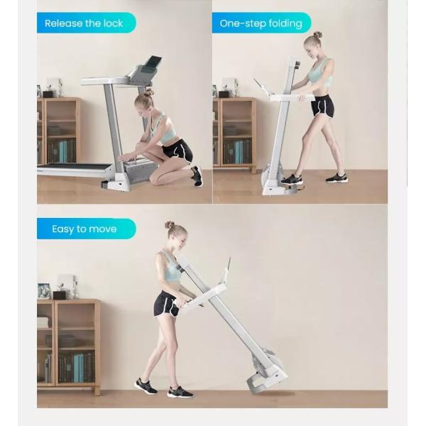 BSCI que dobla la rueda de ardilla casera de los deportes de la aptitud de la pantalla del LED