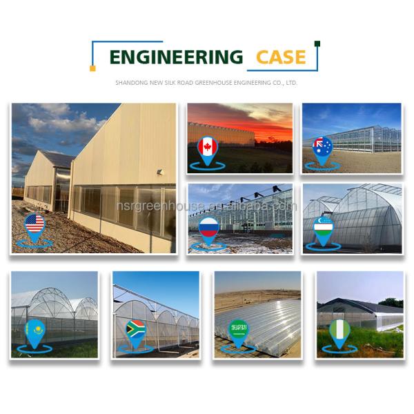 vegetable garden greenhouse frame agricultural greenhouses tunneling polycarbonate greenhouses supplier for plants