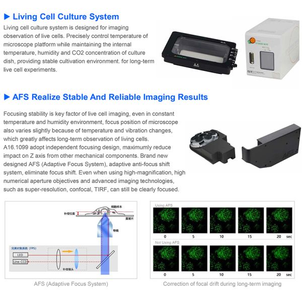 OPTO EDU A16.1099 Full Auto Semi-APO Inverted Fluorescent Microscope