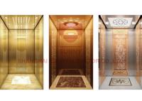 400kg 350mm Pit Residential Home Elevator With aucune pièce de machine