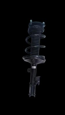 TB067 924223 Absorvedor de choque de suspensão para BYD S6 Frente direita
