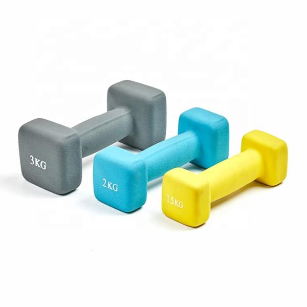 Custom Colorful Vinyl Coated Cast Iron Dumbbell Square Shaped