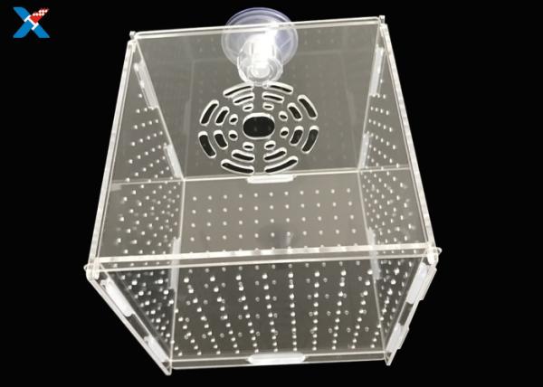Aquarium Acrylic Modern Furniture / Clear Acrylic Isolation Box For Baby Fish