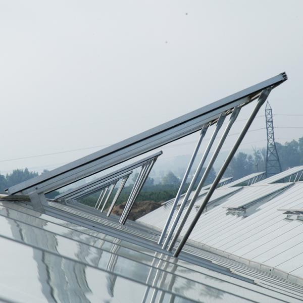 Automated Plant Hydroponics Glass Wall Greenhouse For Tomato Strawberry