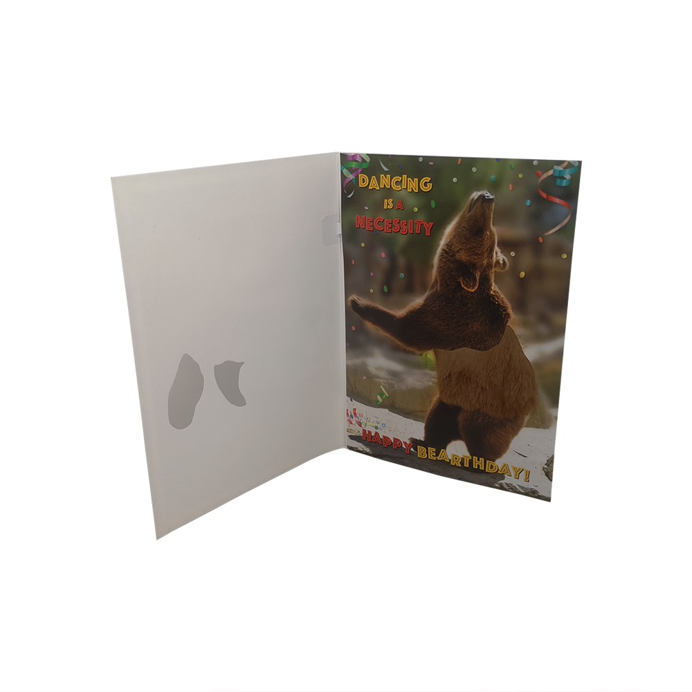 OEM ядровый печатание CMYK с размером A5 аудио 210×148mm музыки