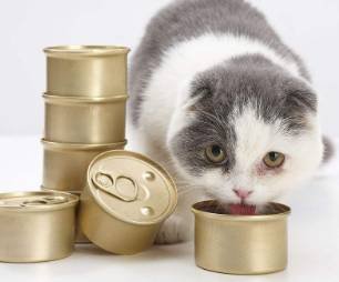 Alloy 1060 0.12mm Prepainted Aluminium Coil for Pet Food Container Lids