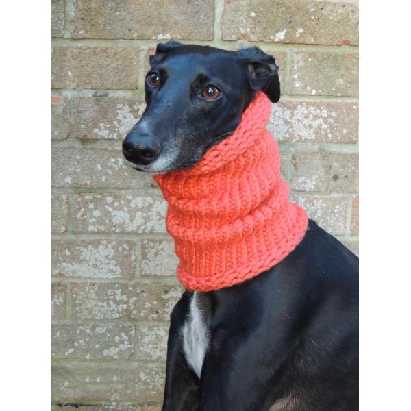 Y-Z Greyhound Lurcher Whippet Dog Snood Neck Warmer Hat Handmade Chunky Yarn Scarf for Dog