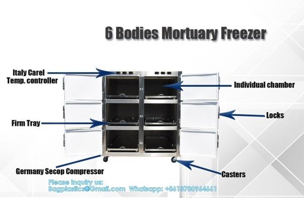 6 Rooms Dead Body Refrigerator Morgue Freezer Mortuary Equipment Morgue Coffin 6 Rooms Dead Body Freezer