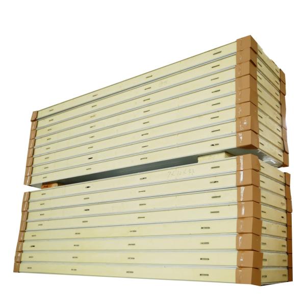 Porte de retour standard alimentaire 1120mm largeur 150mm PIR PUR panneau pour une grande marche dans le congélateur -25c