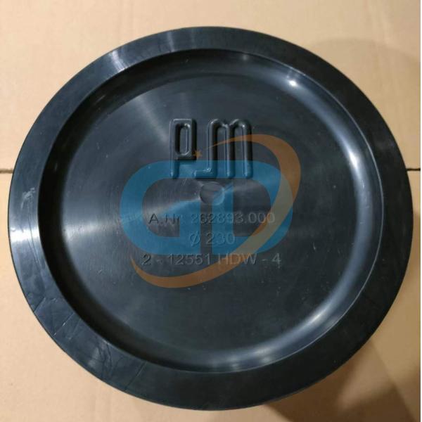 262893000 19003001 PUTZMEISTER ПИСТОН RAM DN230 БЕКОННЫЙ ПУМПА