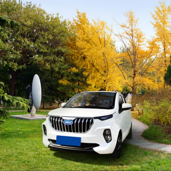 Factory price electric vehicles car China supplier hot sales mini electric car adult