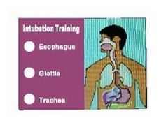 2017 Sell Well Airway Management Arm Injection Training Practice CPR AED Can Use Mannequin Manikin