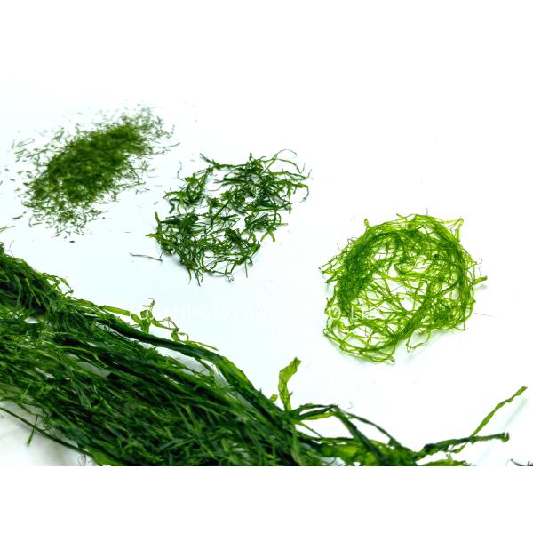 Premium Enteromorpha Prolifera Strips Deep Green 250g Bulk Pack Vegan Cooking Essential