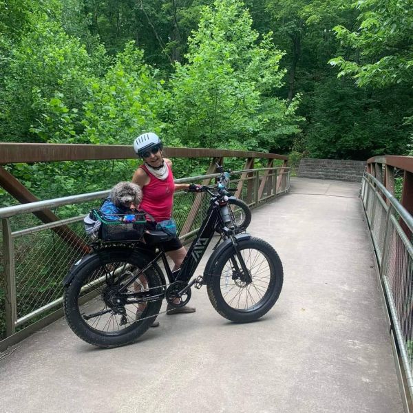 F622 48V Electric Hybrid Mountain Bike Steel Frame Electric Road Bike 7 Speed Rear Hub Motor Lithium Battery 1200W Brushless
