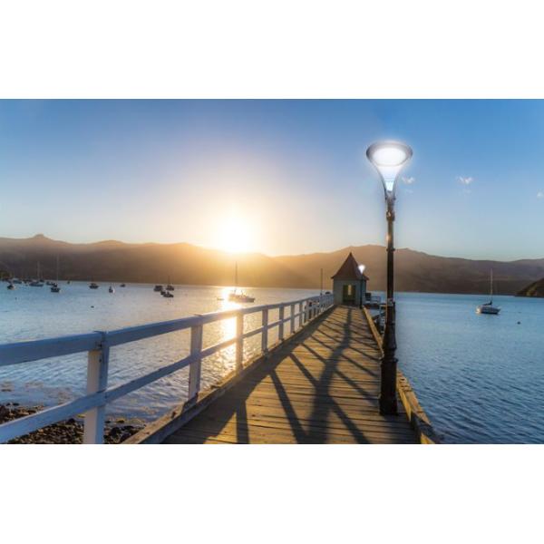 40W LED Garden Light Fixtures Die-cast Aluminium Material For Parks,Squares Garden Landscape Lighting