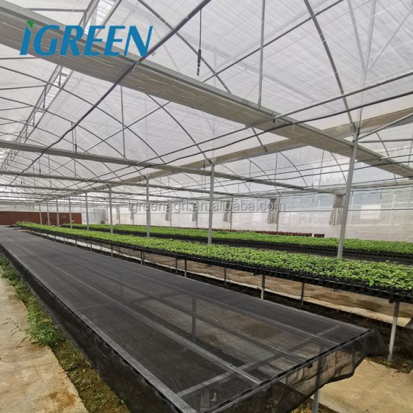 Large Single Layer Multi-span Agricultural Greenhouses with PE Film Cover for Plant Growth