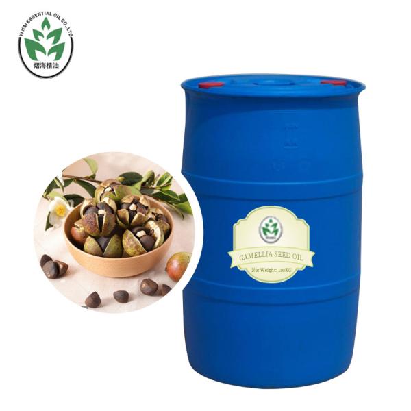 Health Care Original Edible Organic Camellia Seed Oil Refined Pressing