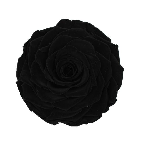 Decorative Preserved Rose Heads Maintain Natural Beauty & Colour For A Long Time