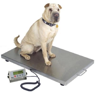Balance pour animaux de compagnie de grande capacité, capacité de 150 kg et plateforme de 112*52 cm pour une surveillance précise du poids des animaux