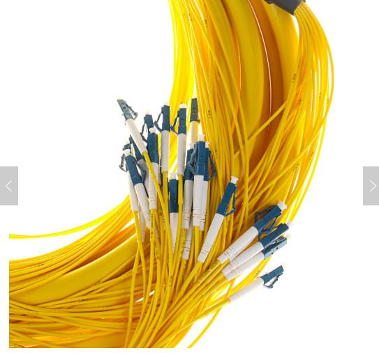 SM 9/125 G652D (OS2) LSZH 12 Fibers LC/UPC-LC/UPC Fibre Optic Breakout Cables 1M