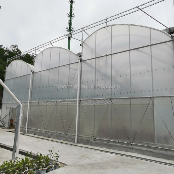 IGreen Tunnel Strawberry Greenhouses for Sale Price of M2 Agricultural Greenhouse