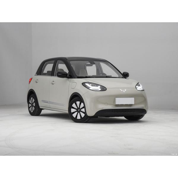 2023 Wuling Bingo Mini EV CLTC 333km Five-Door Four-Seat Energy Small Pure Electric Car