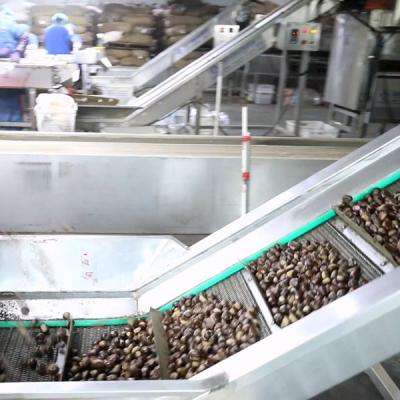 2 da capacidade horária de Inshell da castanha de classificação da máquina toneladas de economia de trabalho