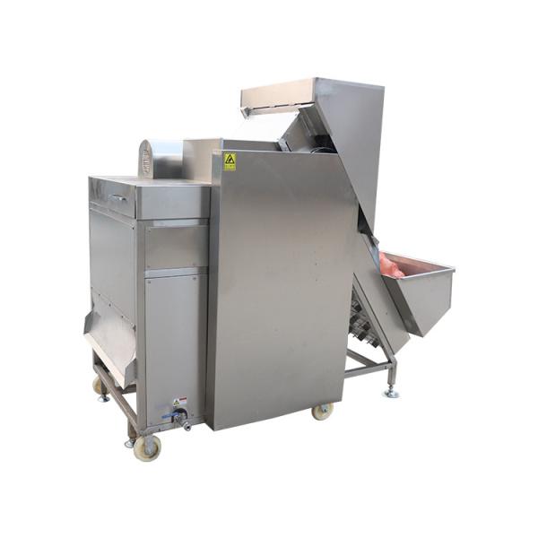 Vertical Low Cost Stainless Steel Garlic Press Crusher Small