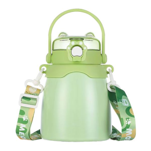 Present Eco Friendly Custom Printed Thermal Double Wall Insulated Stainless Steel Water Bottle with Handle Lid