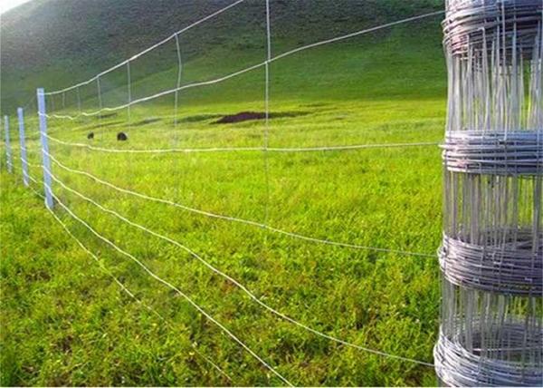Animal Farm Rural 150mm Hinge Joint Fence galvanizado galvanizado a quente