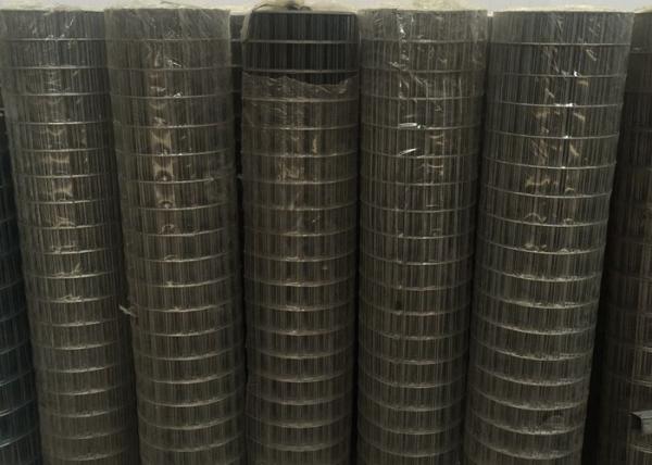 High Strength Welded Wire Mesh Square Hole For Construction / Agriculture