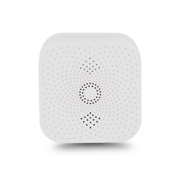 100% LEL CH4 Gas Alarm Detector For Cape Verde With CE RoHS