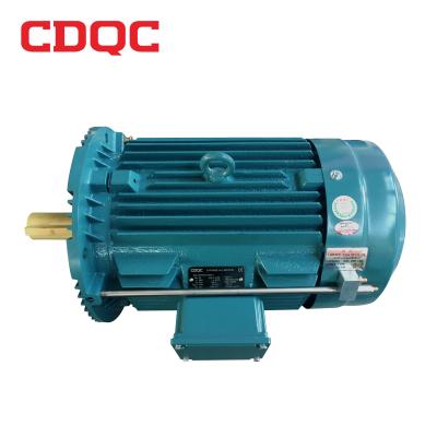 Multi Speed 15hp High Temperature Electric Motor For Printing Machine