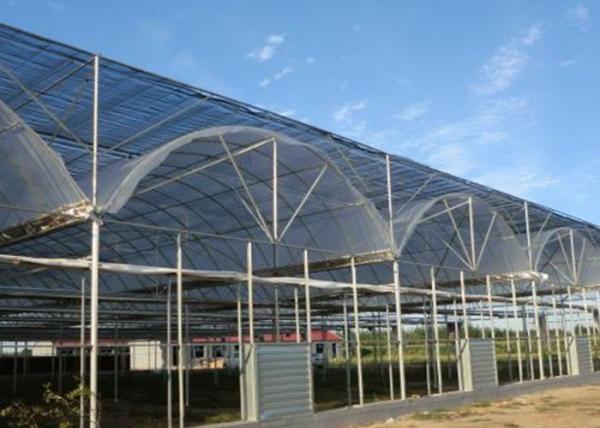 Thermal Insulation Single Span Tunnel Plastic Film Greenhouse