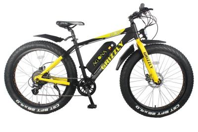 36 V 350w Powerful Electric Bike , Electric Snow Bicycle Smart Controller