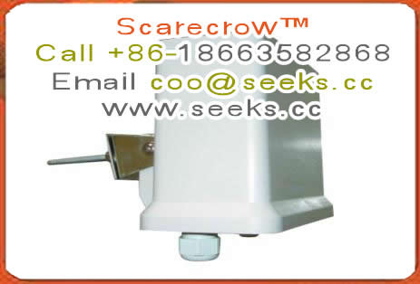 Antenna 5.8G outdoor audio and video transmission BF-5830B 5.8G/30dBm/Pair