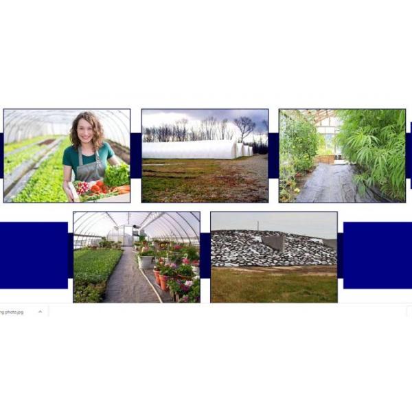 Greenhouse, Agricultural Polyethylene Film, Mulch Films, Horticultural Products, Perforated Wrap, Tomato, Flowers