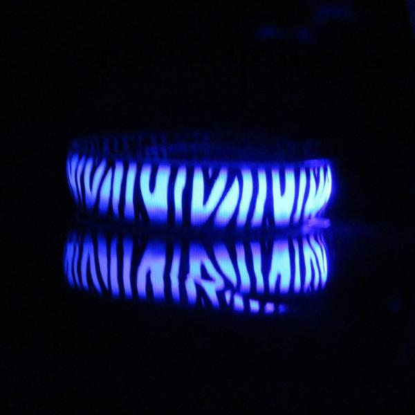 Multi Color Rope Clips LED Dog Collar , Pet Training Dog Collar For Party