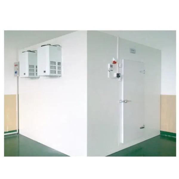 Galvanized Steel Handmade Cleanroom Sandwich Panel Cold Storage Panels 50mm-200mm