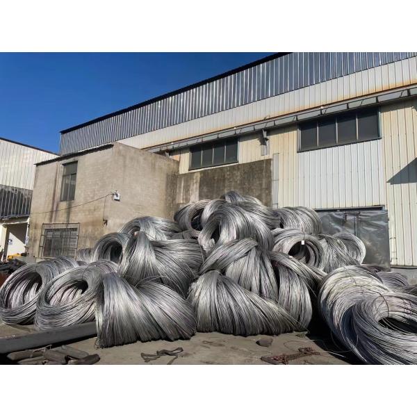 EN10147 / EN10142 / DIN 17162 / JIS G3302 Steel Wire Rod With Standard Sea Package