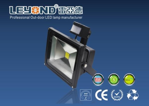 10w 20w 30w PIR High Power Led Flood ilumina o preto impermeável ou o Grey Casing