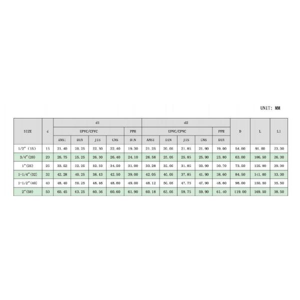 Double True Union Check Valve 1/2